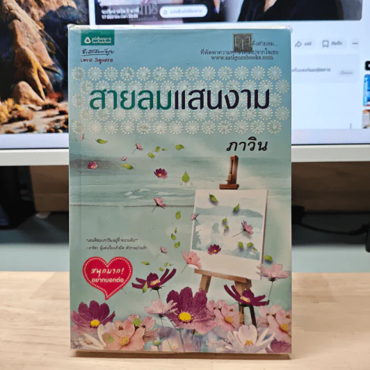 สายลมแสนงาม - ภาวิน รูปที่ 1