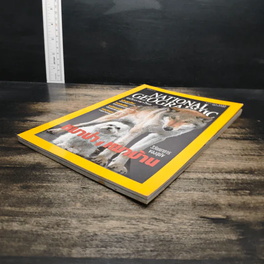 National Geographic ม.ค.2545 วิวัฒนาการของสุนัข หมาป่าสู่หมาบ้าน รูปที่ 4