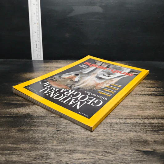 National Geographic ม.ค.2545 วิวัฒนาการของสุนัข หมาป่าสู่หมาบ้าน รูปที่ 5