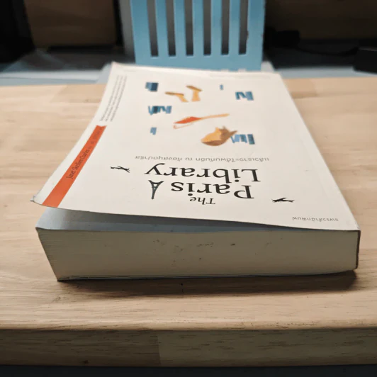 แล้วเราจะได้พบกันอีก ณ ห้องสมุดปารีส The Paris Library - เจเน็ต สเกลเลียน ชาร์ลส์ รูปที่ 4