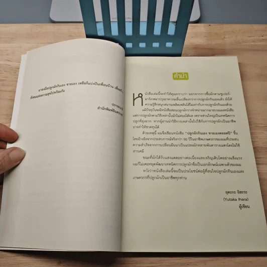 ปลูกผักกินเอง ขายเองตลอดปี - ยุตะกะ อิฮะระ (Yutaka Ihara) รูปที่ 7