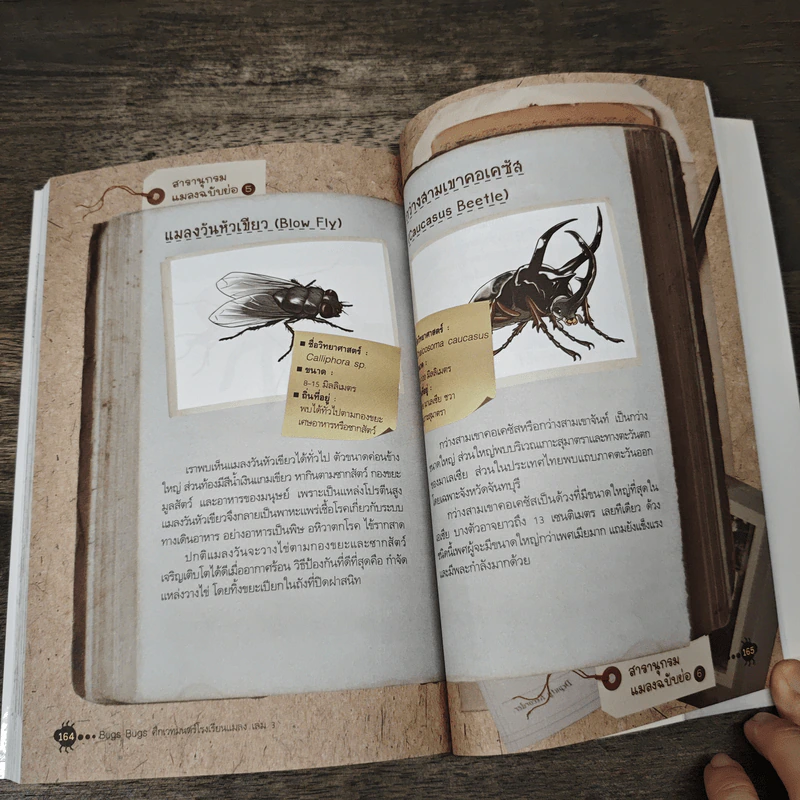 Bugs Bugs ศึกเวทมนตร์โรงเรียนแมลง เล่ม 3 รูปที่ 9