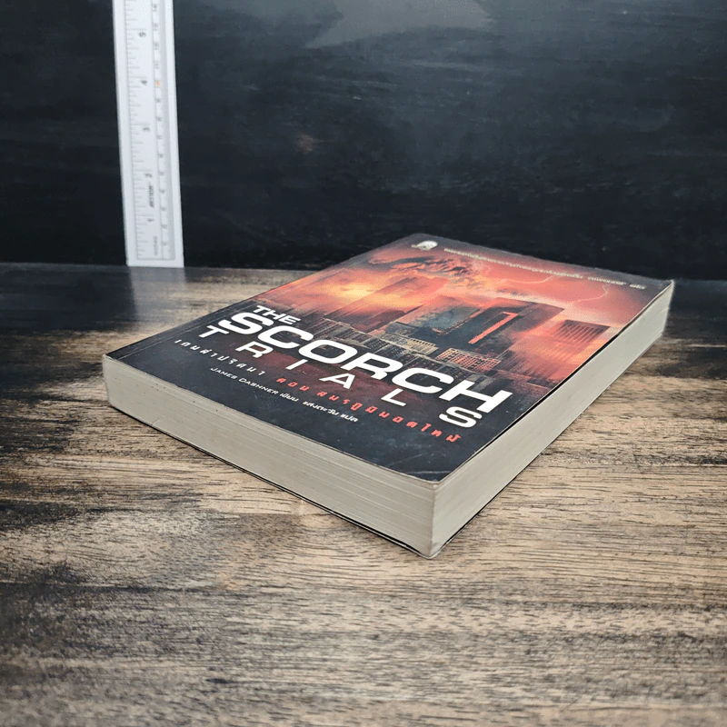 The Scorch Trials เกมล่าปริศนา ตอน สมรภูมิมอดไหม้ - เจมส์ แดชเนอร์ รูปที่ 4