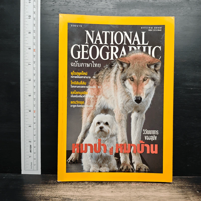 National Geographic ม.ค.2545 วิวัฒนาการของสุนัข หมาป่าสู่หมาบ้าน รูปที่ 1