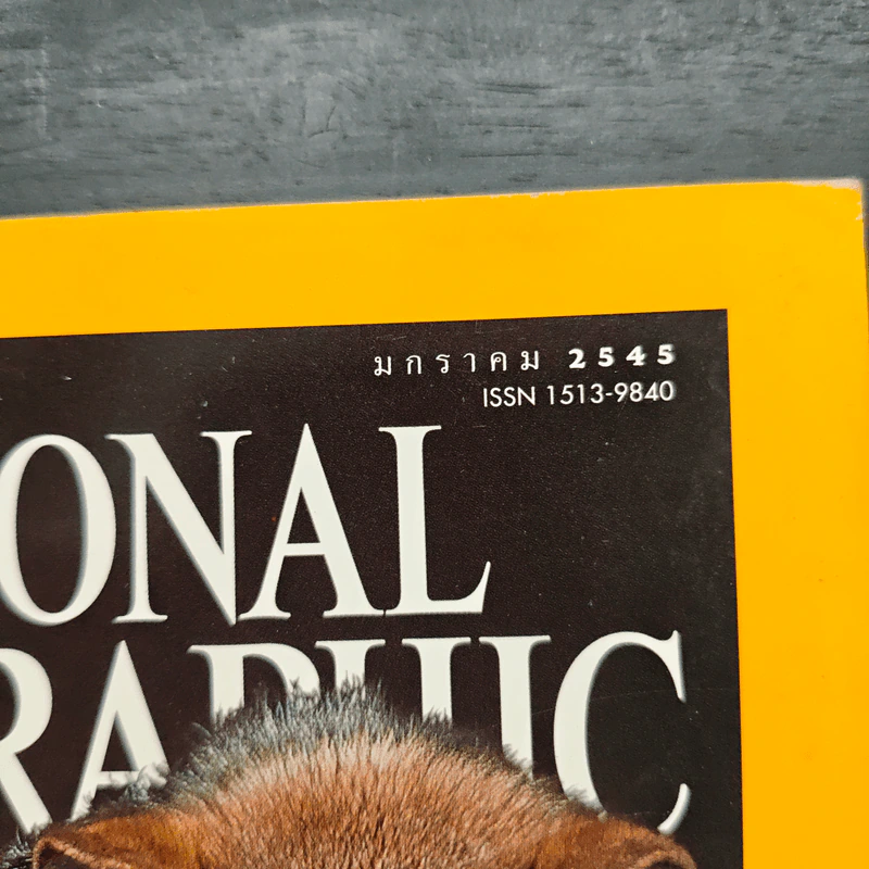National Geographic ม.ค.2545 วิวัฒนาการของสุนัข หมาป่าสู่หมาบ้าน รูปที่ 8