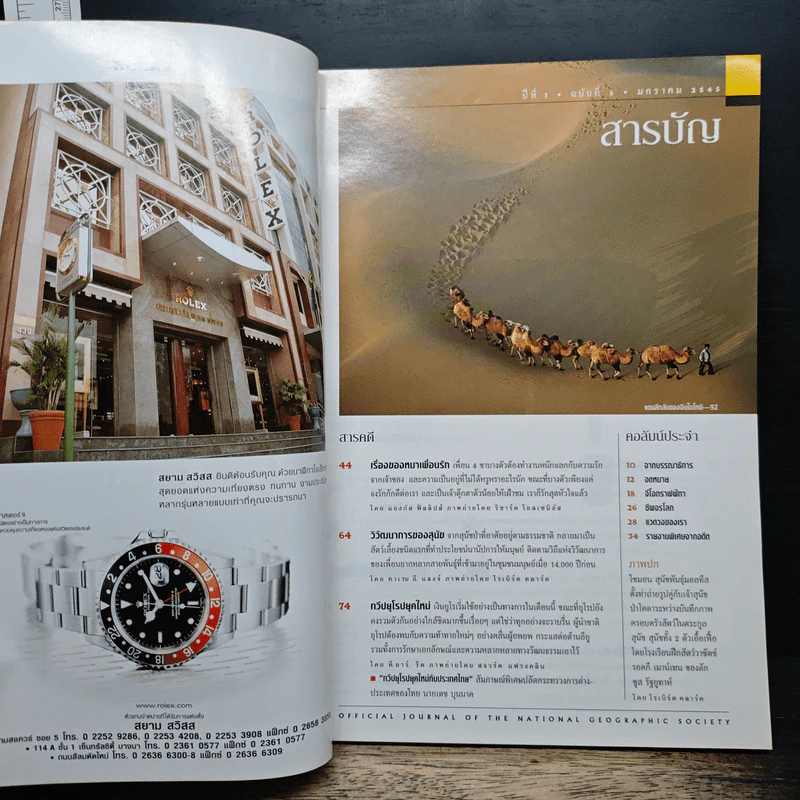 National Geographic ม.ค.2545 วิวัฒนาการของสุนัข หมาป่าสู่หมาบ้าน รูปที่ 6