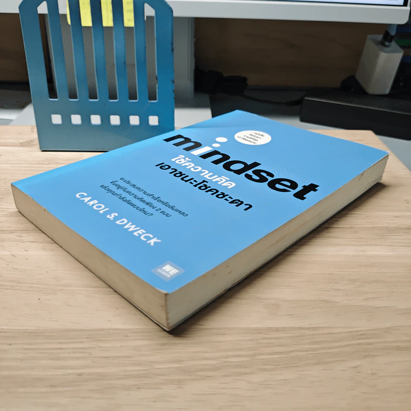 Mindset ใช้ความคิดเอาชนะโชคชะตา - Carol S.Dweck รูปที่ 3