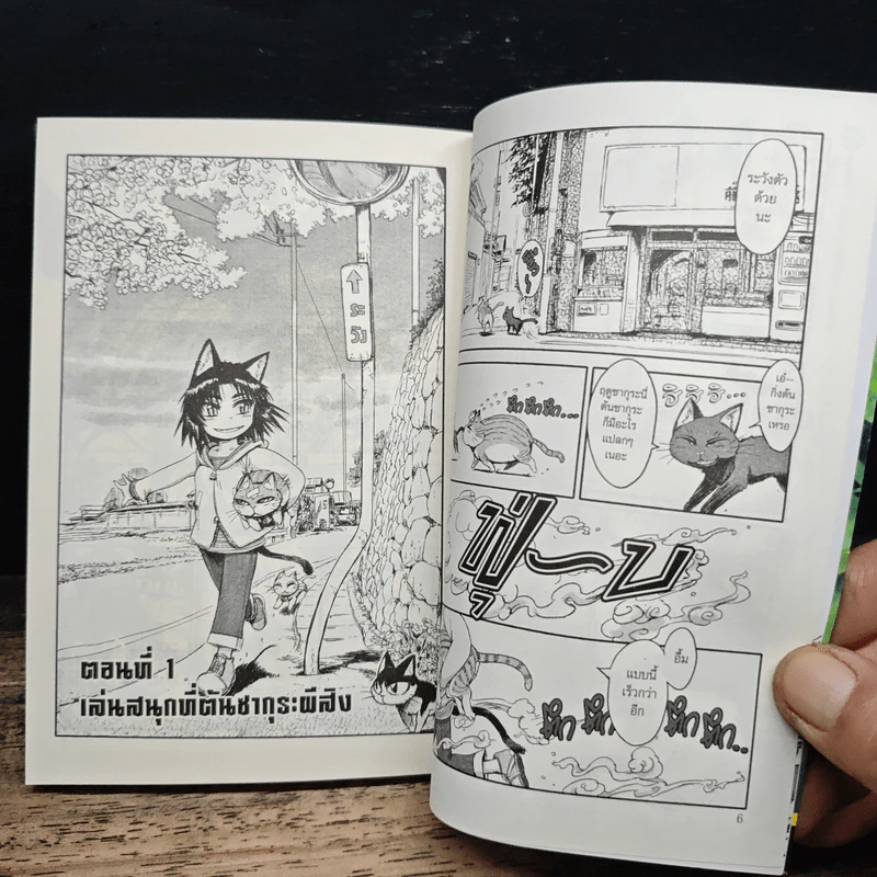 บันทึกป่วนๆของสาวน้อยแมวเหมียว เล่ม 1 รูปที่ 9