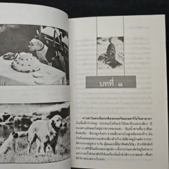 กลับบ้าน - วัธนา บุญยัง รูปที่ 7