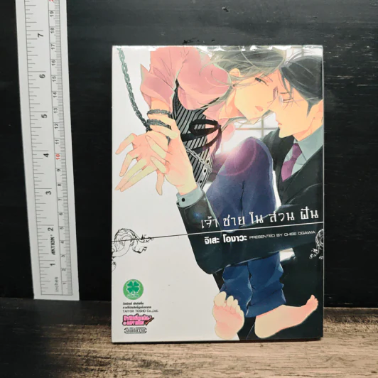 การ์ตูนวาย เจ้าชายในสวยฝัน - Chise Ogawa รูปที่ 1