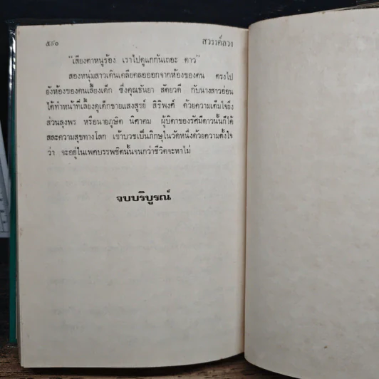 สวรรค์ลวง - นงนาถ ณ วังสาย รูปที่ 8