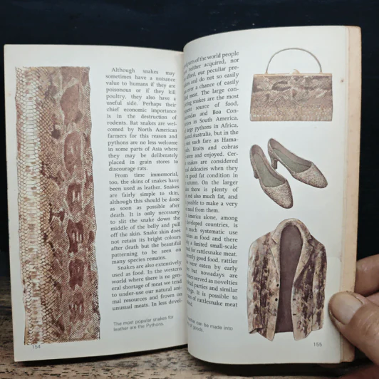 Snakes of the world - John Stidworthy รูปที่ 9