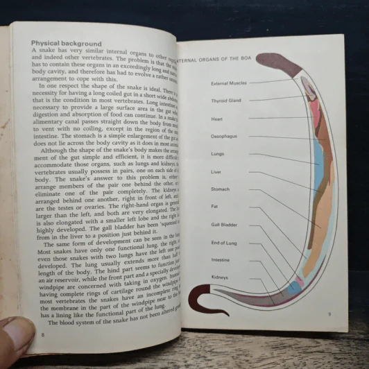 Snakes of the world - John Stidworthy รูปที่ 8