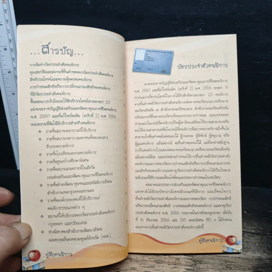 คู่มือคนพิการ รูปที่ 6