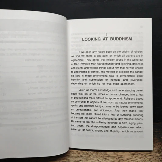 Handbook for Mankind - Buddhadasa Dhikkhu รูปที่ 8