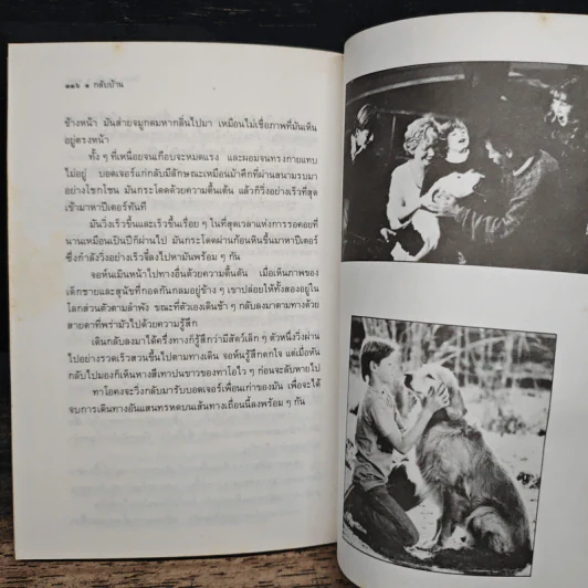 กลับบ้าน - วัธนา บุญยัง รูปที่ 8