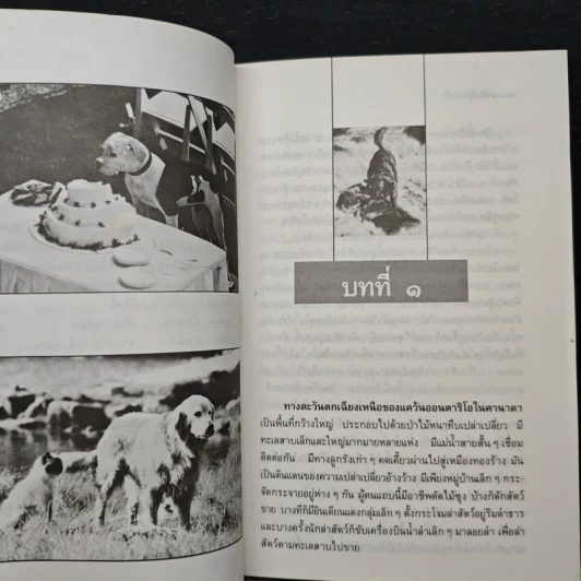 กลับบ้าน - วัธนา บุญยัง รูปที่ 7
