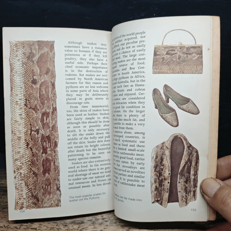 Snakes of the world - John Stidworthy รูปที่ 9