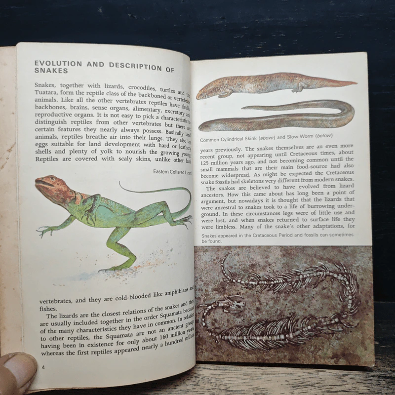 Snakes of the world - John Stidworthy รูปที่ 7
