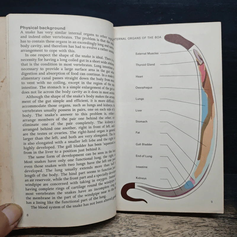 Snakes of the world - John Stidworthy รูปที่ 8