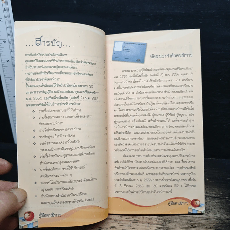 คู่มือคนพิการ รูปที่ 6