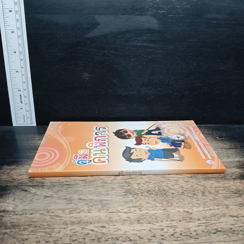 คู่มือคนพิการ รูปที่ 3