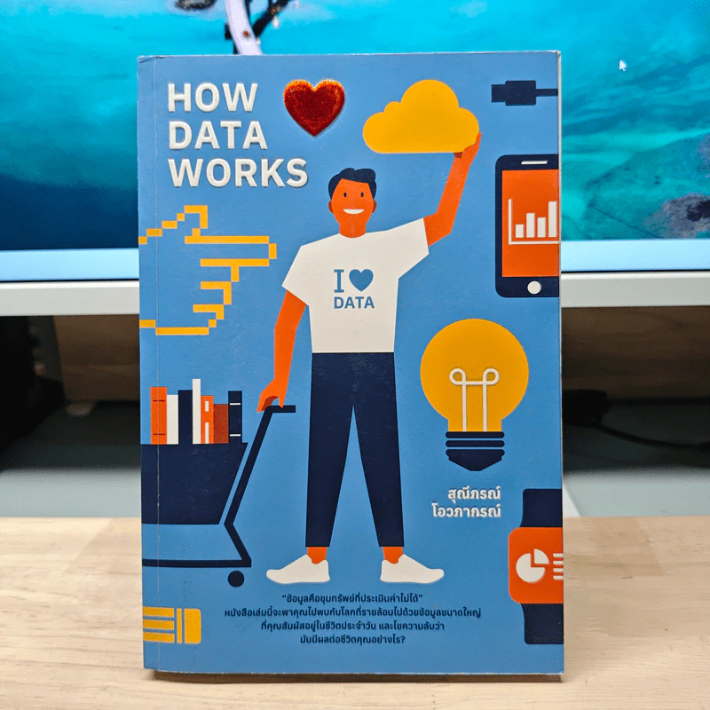 How Data Works - สุณีภรณ์ โอวภากรณ์ รูปที่ 1