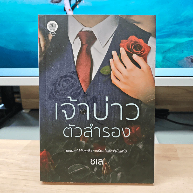 เจ้าบ่าวตัวสำรอง - ชเล รูปที่ 1
