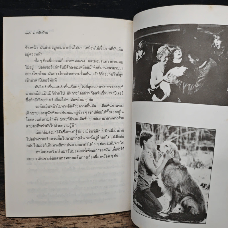 กลับบ้าน - วัธนา บุญยัง รูปที่ 8