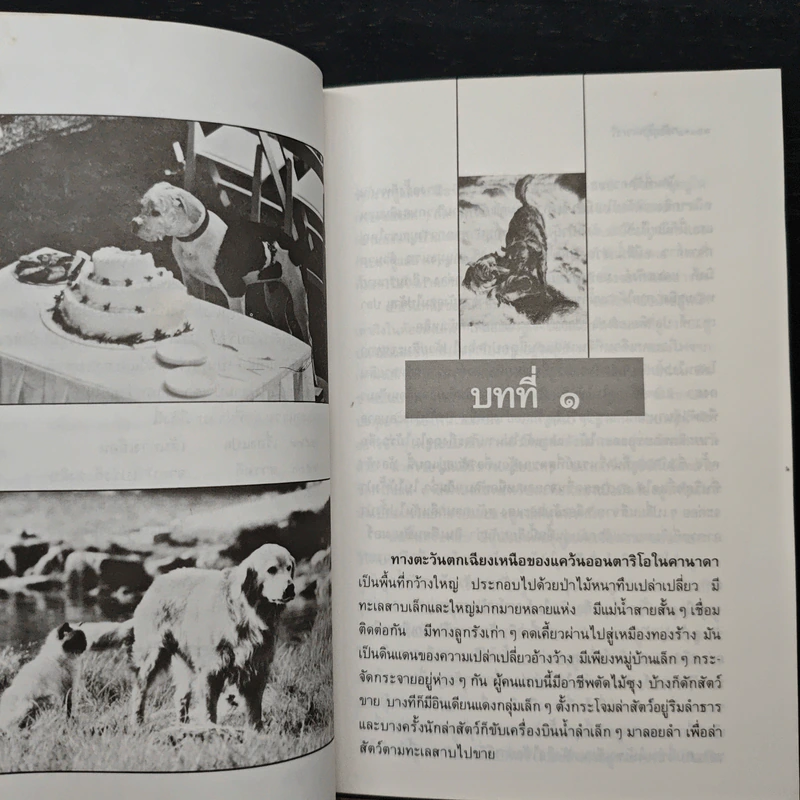 กลับบ้าน - วัธนา บุญยัง รูปที่ 7