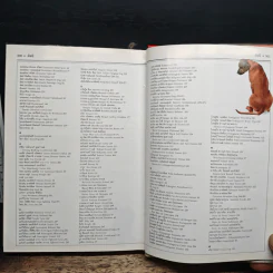สุนัข: คู่มือแนะนำสุนัขพันธุ์ต่างๆ มากกว่า 300 พันธุ์จากทั่วโลก รูปที่ 11