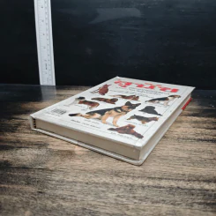 สุนัข: คู่มือแนะนำสุนัขพันธุ์ต่างๆ มากกว่า 300 พันธุ์จากทั่วโลก รูปที่ 4