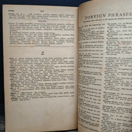 The New American Roget's College Thesaurus in Dictionary Form รูปที่ 8
