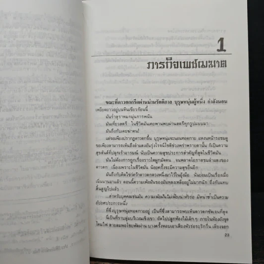 Boxset ดาวตก ผีเสื้อกระบี่ 2 เล่มจบ - โก้วเล้ง, น.นพรัตน์ รูปที่ 9