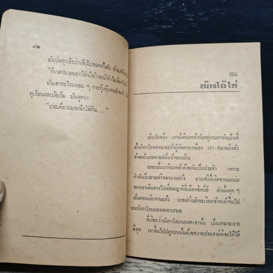 ไอ้ไข่ - อาจินต์ ปัญจพรรค์ รูปที่ 9