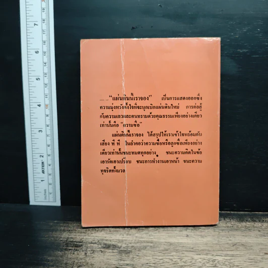แผ่นดินนี้เราจอง เล่ม 2 รูปที่ 2