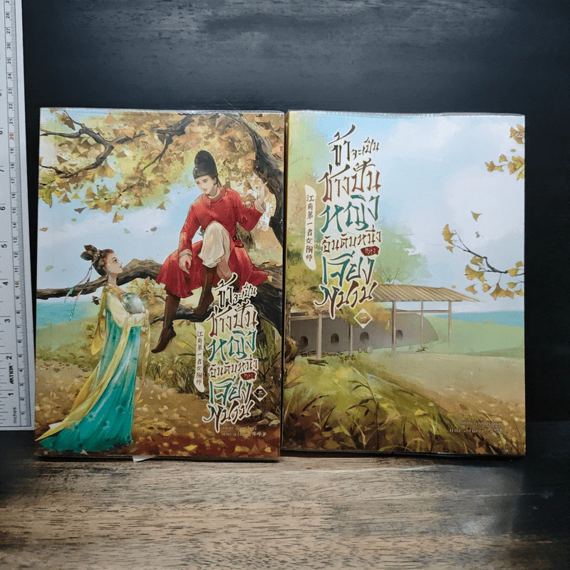 ข้าจะเป็นช่างปั้นหญิงอันดับหนึ่งแห่งเจียงหนาน 2 เล่มจบ - อี๋จินเฟิงซา รูปที่ 1
