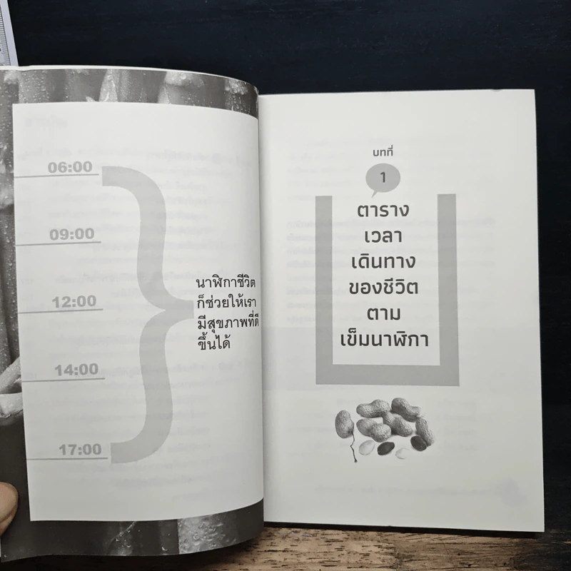 เคล็ด (ไม่) ลับ กินอาหารให้ถูกธาตุและตรงกรุ๊ปเลือด เพื่อสุขภาพแข็งแรงอายุยืน - หมอปริญญาแพทย์แผนไทย รูปที่ 8