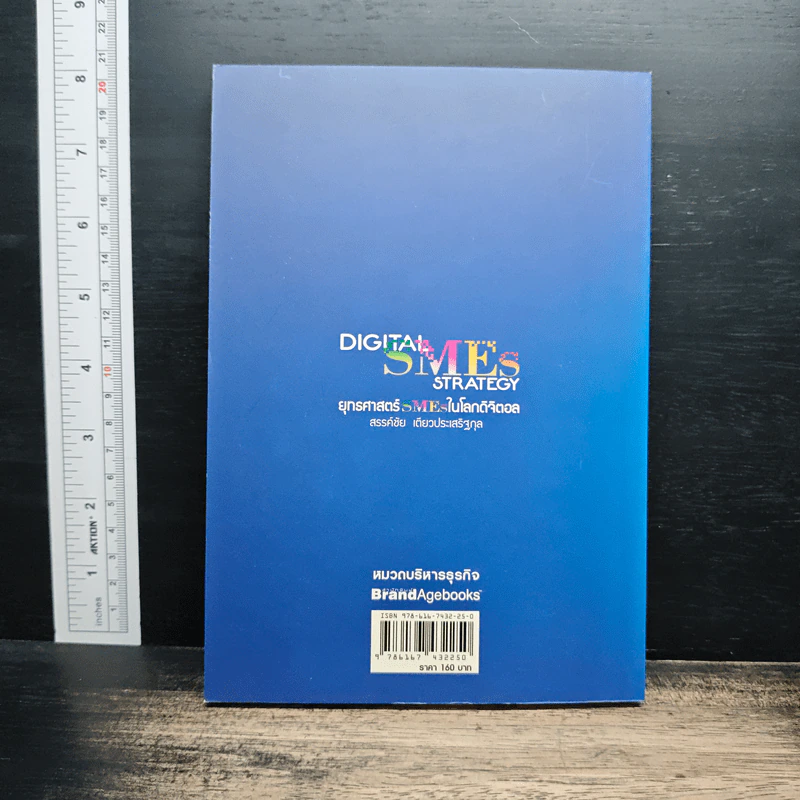 Digital SME Strategy ยุทธศาสตร์ SMEs ในโลกดิจิตอล - สรรค์ชัย เตียวประเสริฐกุล รูปที่ 2