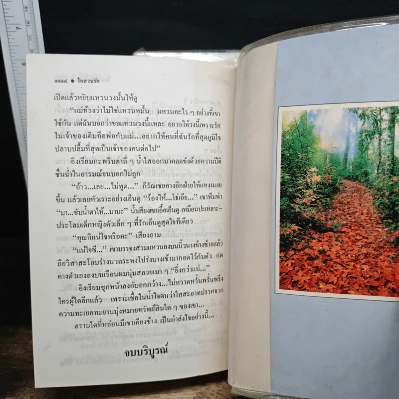 ในสวนรัก 2 เล่มจบ - โสภาค สุวรรณ รูปที่ 9