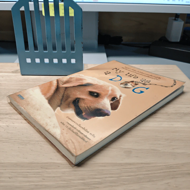 My Life as a Dog - ระริน รูปที่ 3