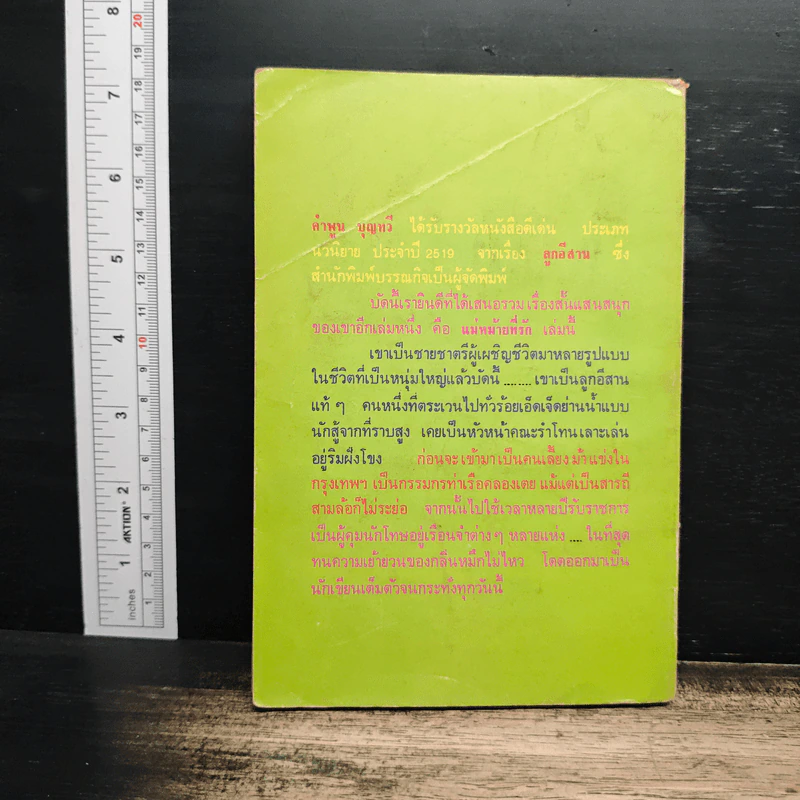 แม่หม้ายที่รัก - คำพูน บุญทวี รูปที่ 2