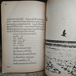 จอนะธัน ลิวิงสตัน นางนวล - ริชาร์ด บาก, ม.ร.ว.คึกฤทธิ์ ปราโมช รูปที่ 12