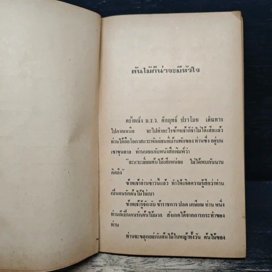 ทางไปสุขา - ไมตรี ลิมปิชาติ รูปที่ 8