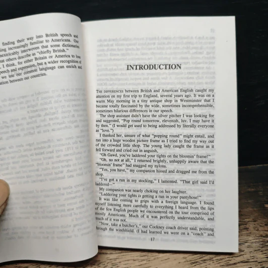 Dictionary of British-American English รูปที่ 8