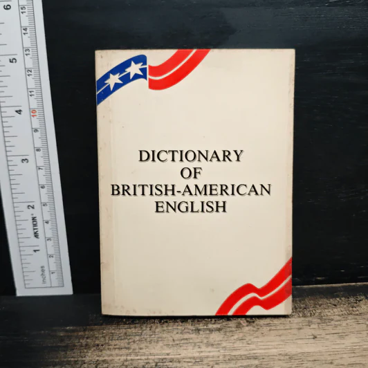 Dictionary of British-American English รูปที่ 1