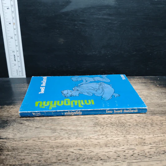 เกาไม่ถูกที่คัน - ไมตรี ลิมปิชาติ รูปที่ 3