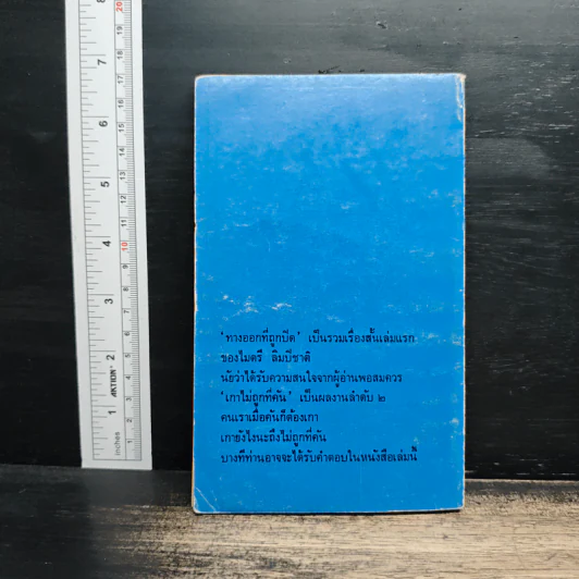 เกาไม่ถูกที่คัน - ไมตรี ลิมปิชาติ รูปที่ 2