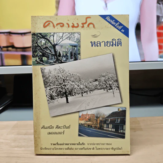 ความรักหลายมิติ - ศันสนีย ศีตะปันย์ เมอลเลอร์ รูปที่ 1
