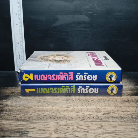 เบญจรงค์ห้าสี 2 เล่มจบ - รักร้อย รูปที่ 3